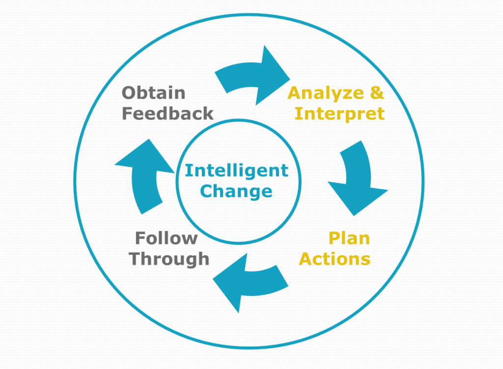 Action Plan and Action Research