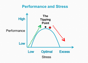 Stress and performance