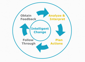 Gap Analysis & Action Planning