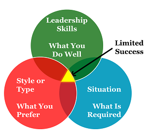 Limits of Leader Style & Type