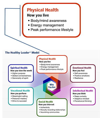 Effects Of Dangerous Health Habits